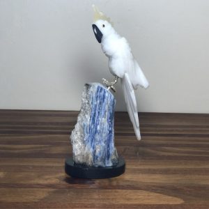 Cacatua branca