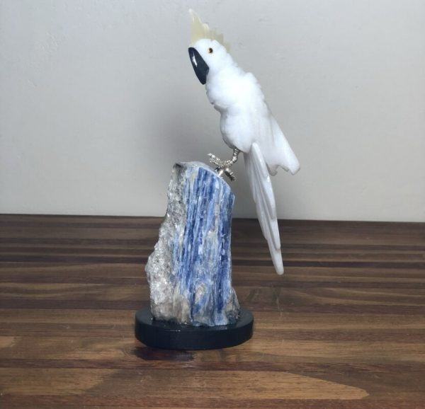 Cacatua branca