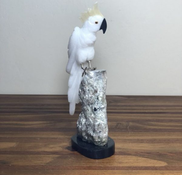 Cacatua branca - Image 2