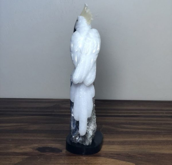 Cacatua branca - Image 3