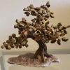 Árvore Bonsai Olho de Tigre
