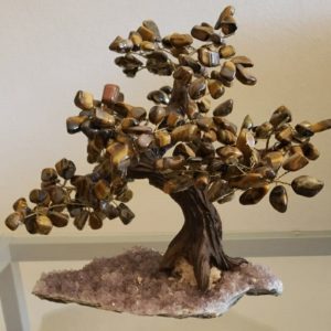 Árvore Bonsai Olho de Tigre