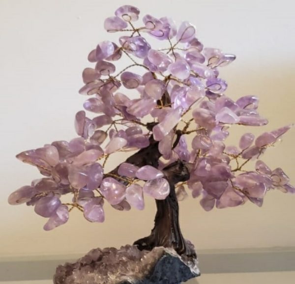 Árvore Bonsai Ametista - Image 2