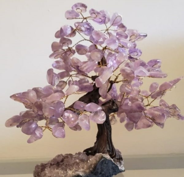 Árvore Bonsai Ametista - Image 3