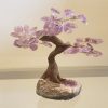 Árvore Bonsai Ametista M