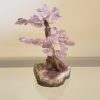 Árvore Bonsai Ametista M - Image 2