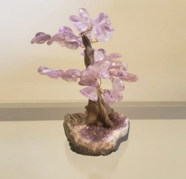 Árvore Bonsai Ametista M - Image 2