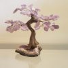 Árvore Bonsai Ametista M - Image 3