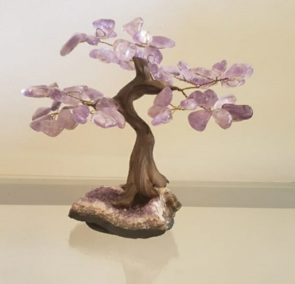Árvore Bonsai Ametista M - Image 3