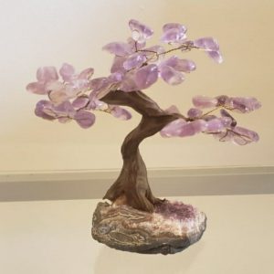 Árvore Bonsai Ametista M