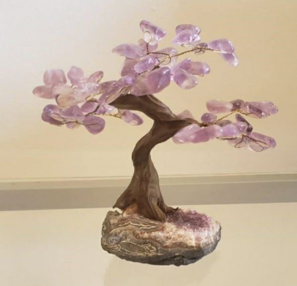 Árvore Bonsai Ametista M