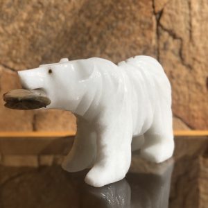 Urso Branco Peixe