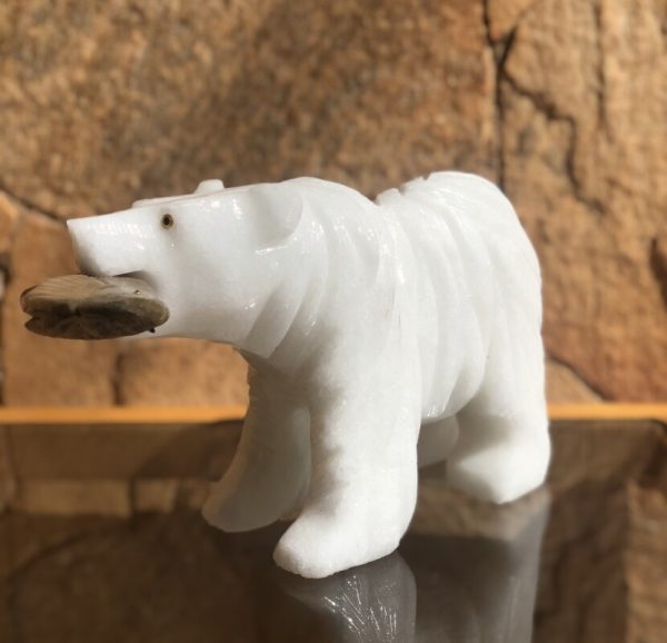 Urso Branco Peixe