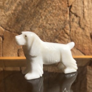 Cachorro Branco
