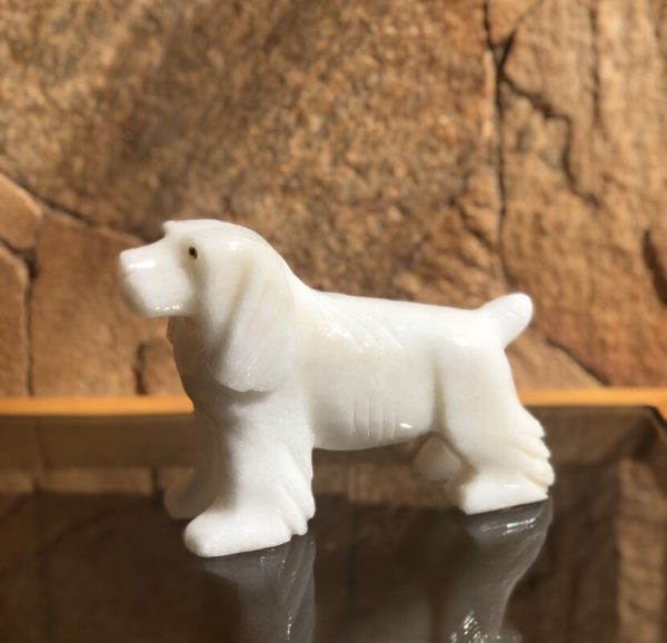 Cachorro Branco