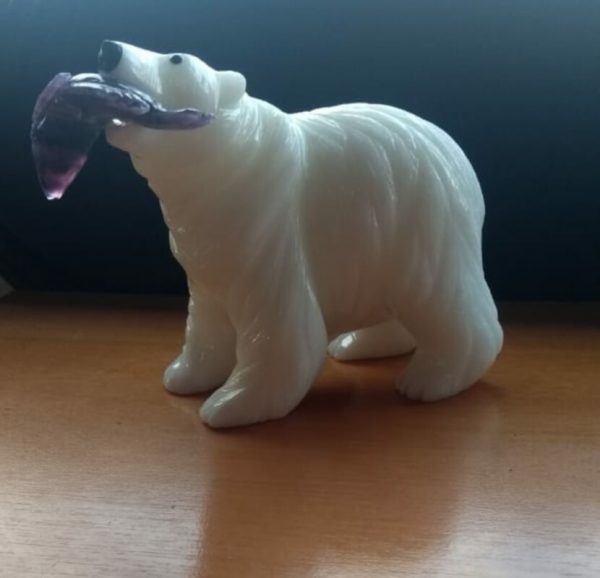 Urso Branco Peixe
