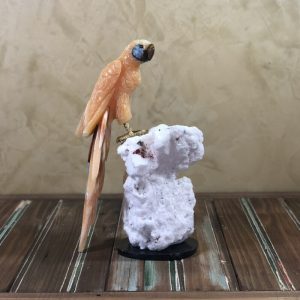 Arara de Calcita laranja