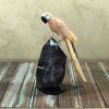 arara de Calcita mexicana