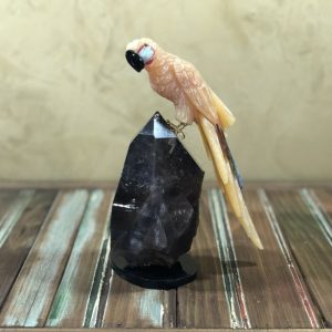 arara de Calcita mexicana