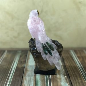 Arara rosa bico olho de tigre