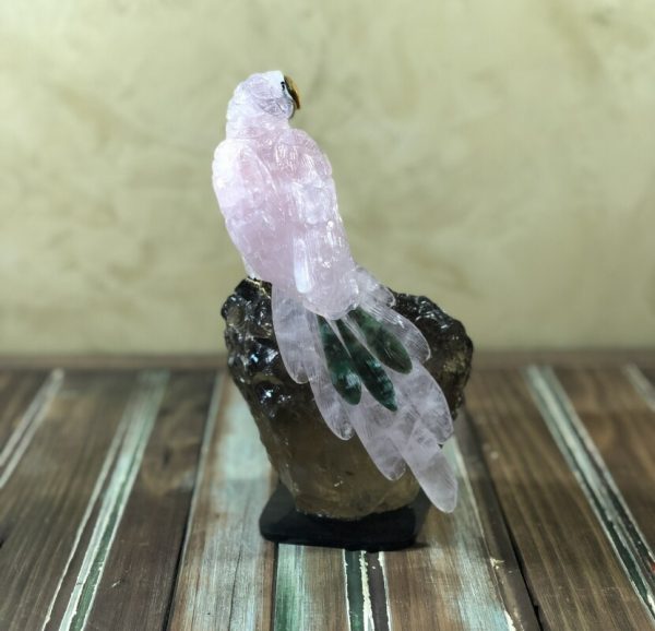 Arara rosa bico olho de tigre