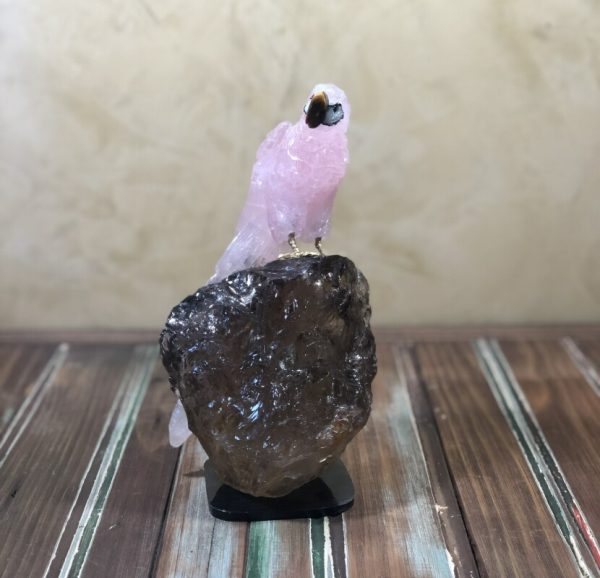 Arara rosa bico olho de tigre - Image 2