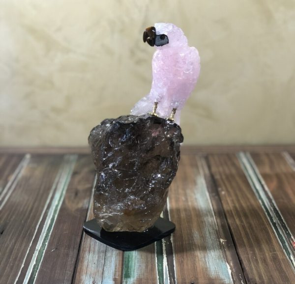 Arara rosa bico olho de tigre - Image 3