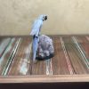 Arara QUARTZO azul - Image 2