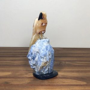 Arara CALCITA amarela
