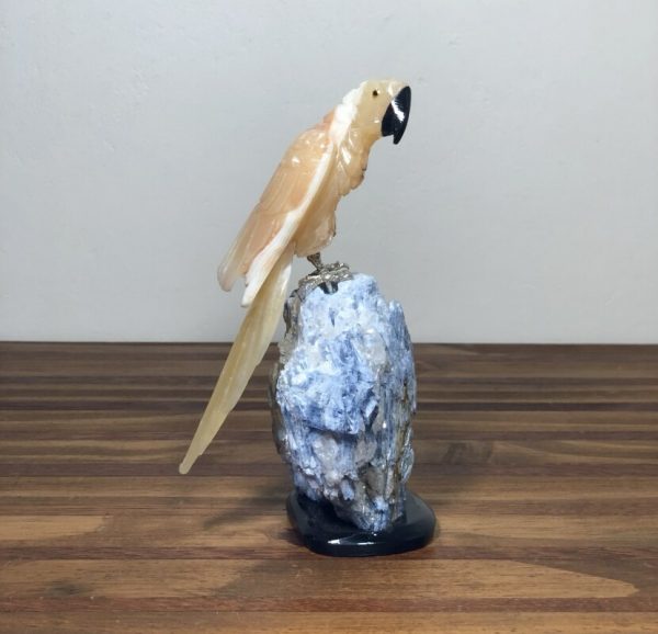 Arara CALCITA amarela - Image 2