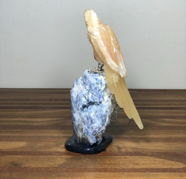 Arara CALCITA amarela - Image 3