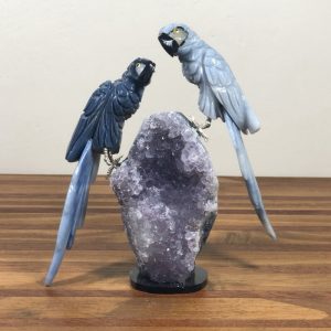 Araras QUARTZO azul