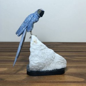 Arara QUARTZO azul