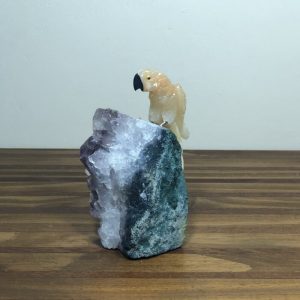 Arara Calcita amarela
