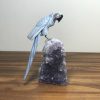 Arara QUARTZO azul