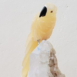 Arara de Calcita amarela
