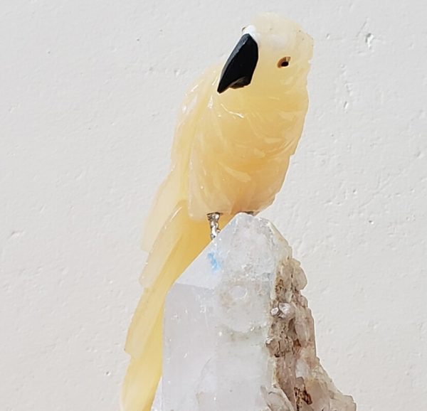 Arara de Calcita amarela