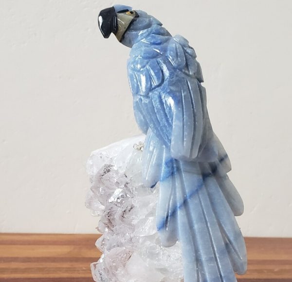 Arara quartzo azul