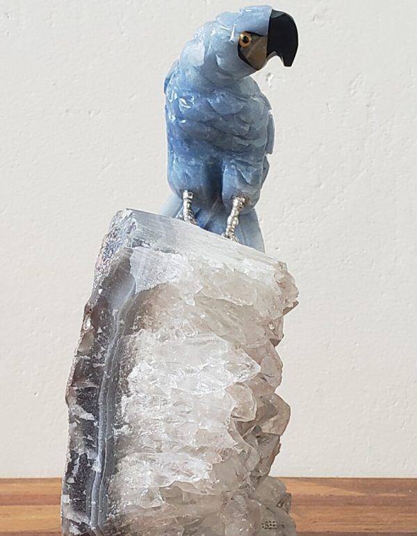 Arara quartzo azul - Image 2
