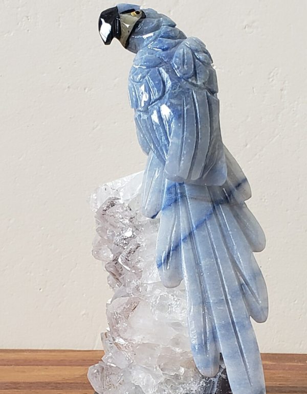Arara quartzo azul - Image 3