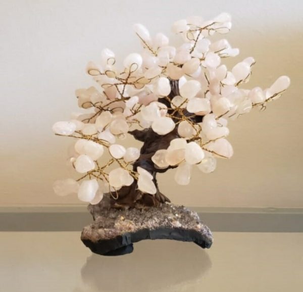 Árvore Bonsai Quartzo rosa - Image 2