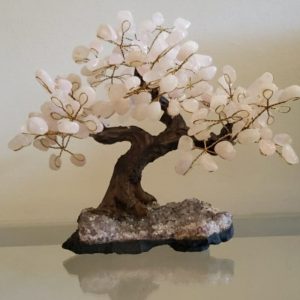 Árvore Bonsai Quartzo rosa