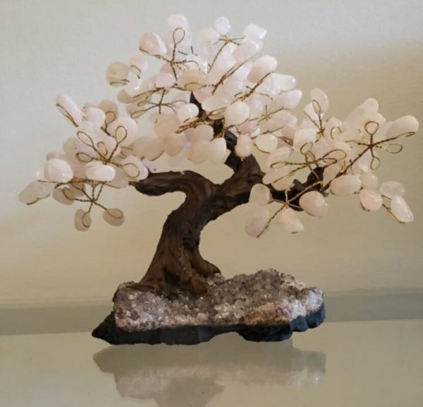 Árvore Bonsai Quartzo rosa