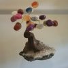 Mini Bonsai com pedras mistas