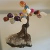 Mini Bonsai com pedras mistas - Image 2