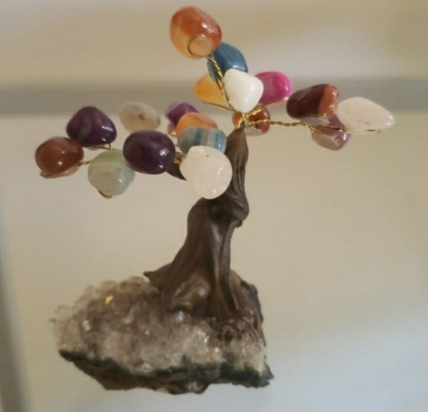 Mini Bonsai com pedras mistas - Image 2