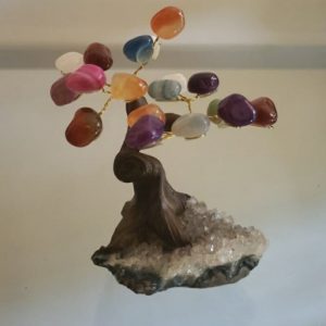 Mini Bonsai com pedras mistas